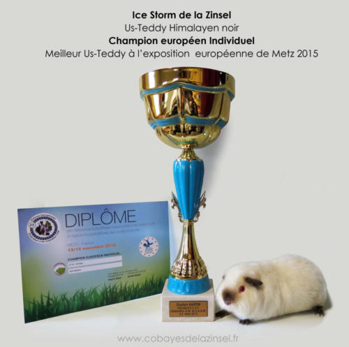 icesortm-champion-europeen